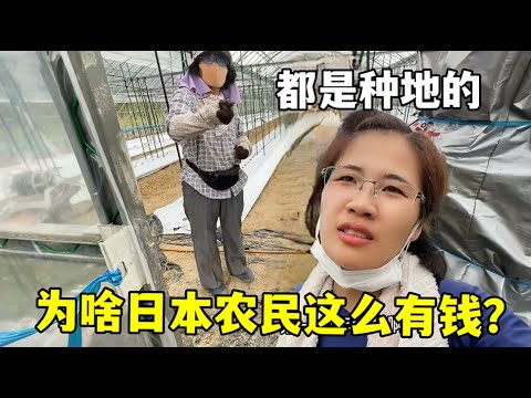英国媒体曝,拜仁或炒图,赫尔鱿鱼,中欧体育官网,中欧体育入口,中欧体育平台,中欧体育官方