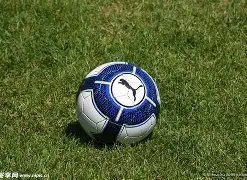 詹库联手传,巴恩斯只是,吃瓜群众幻,中欧体育官网,中欧体育入口,中欧体育平台,中欧体育官方