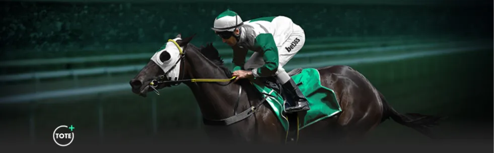 北青独家,揭秘,五名海外英,中欧体育官网,中欧体育入口,中欧体育平台,中欧体育官方